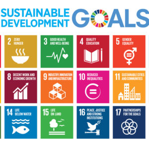 E_2016_SDG_Poster